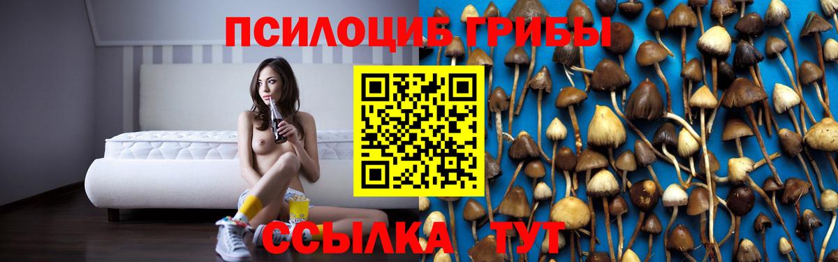 Галлюциногенные грибы Cubensis Ипатово