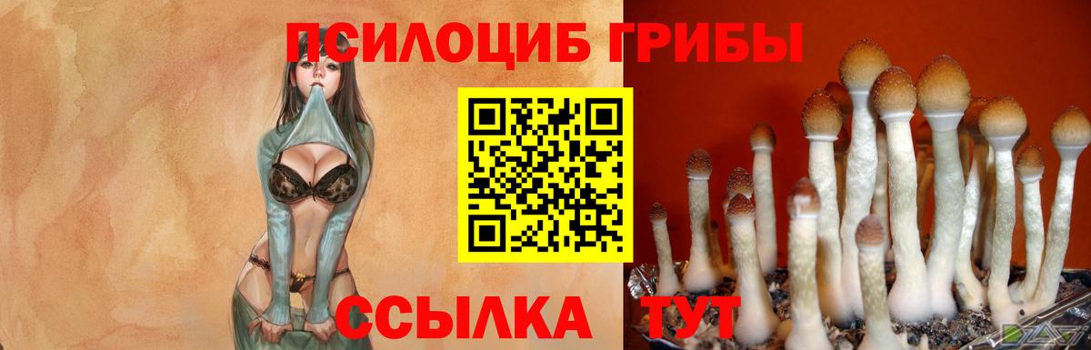 Ипатово  Псилоцибиновые грибы GOLDEN TEACHER  Вход с VPN 